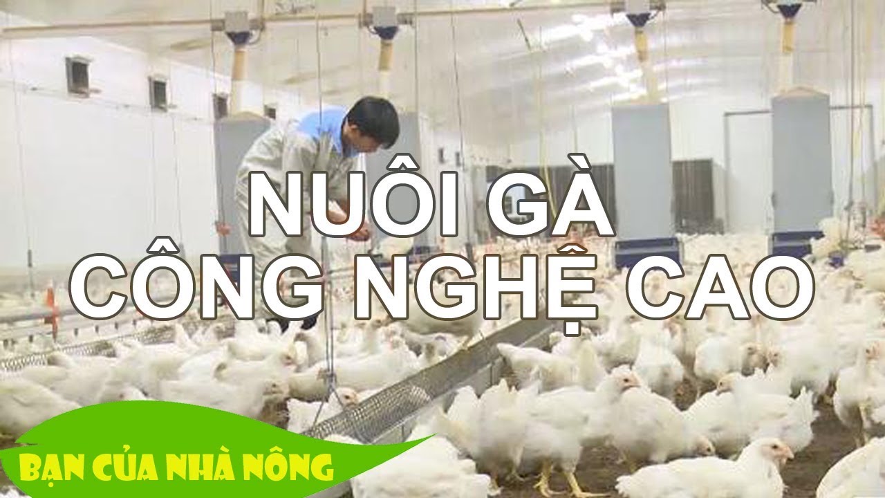 Mô hình Hợp tác Chăn nuôi Gia công